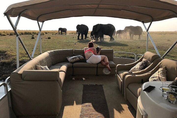 Chobe Day Trip From Victoria Falls Zimbabwe