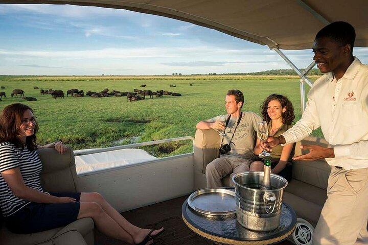 Chobe Day Trip From Victoria Falls Zimbabwe