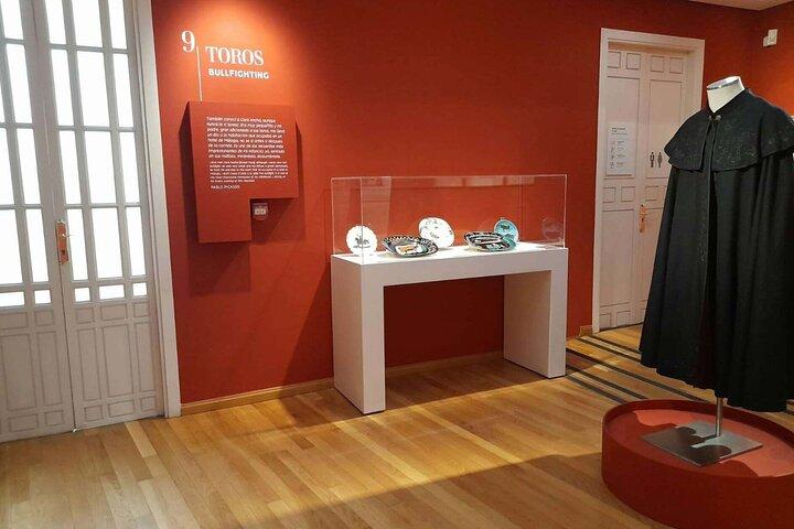 Malaga: Picasso Birthplace Museum Ticket with Digital Audio Guide