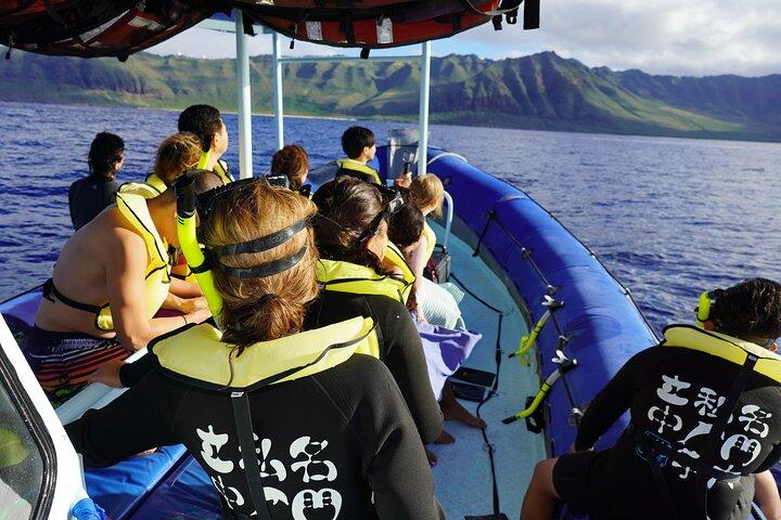 Swimming with Wild Dolphins Speedboat Adventure on Oahu