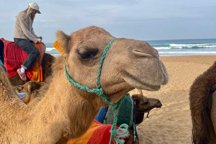Luxury 5 hours Private Tour of Tangier