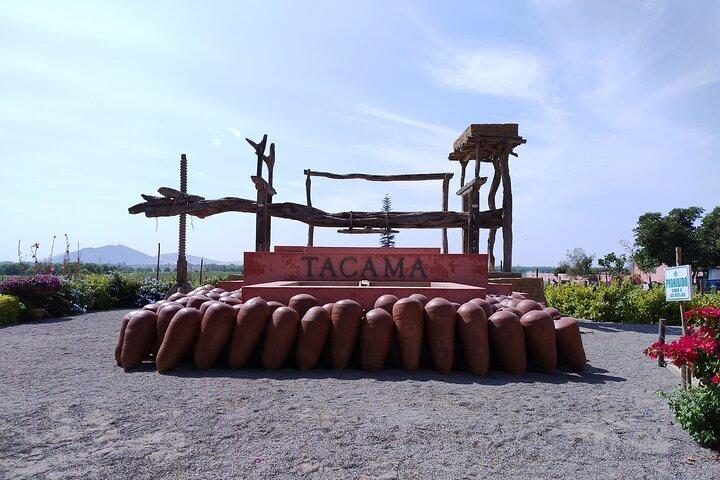 From Ica or Huacachina: Pisco Wine and Buggy Tour in Huacachina