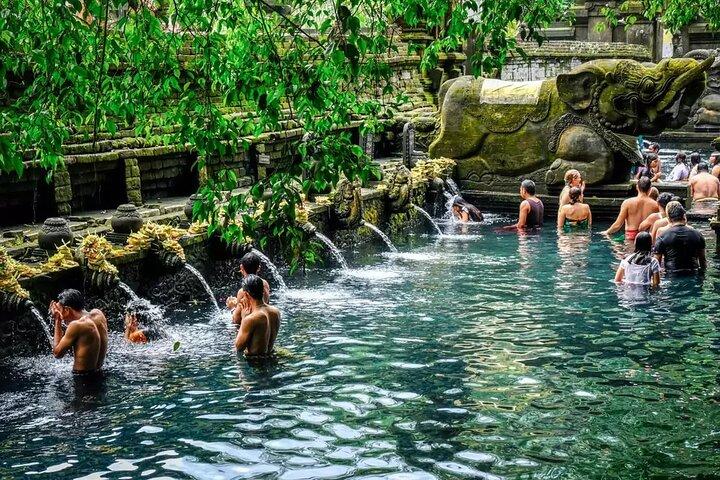 Ubud Monkey Forest, Rice Terrace, Water Temple, Waterfall & Swing