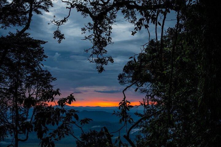 4 Days Rwanda Tour with Gorilla and Chimpanzee Trekking