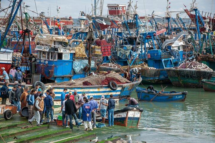 Essaouira Day Trip from Marrakech - Marrakech to Essaouira Trip