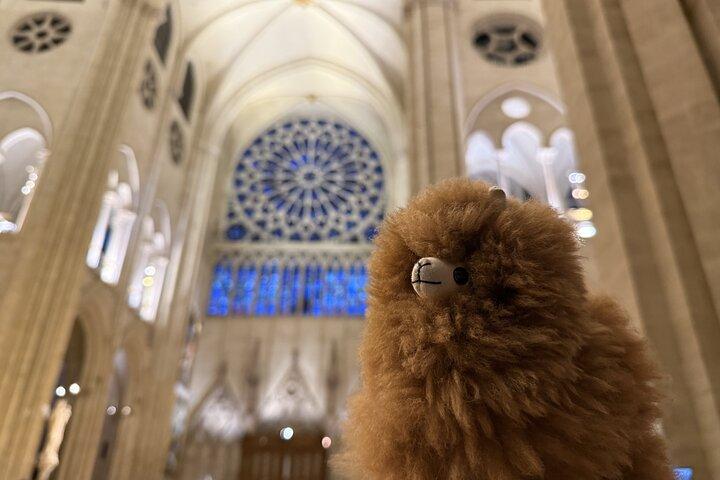 Paris Private Guided Walking Tour with Notre-Dame Visit