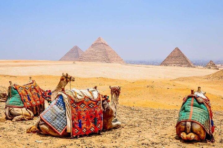 Cairo Highlights: Private Tour of Museum and Pyramids