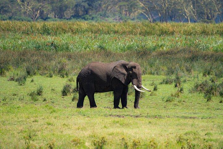 The Trifecta Lake Manyara Tarangire and Ngorongoro Crater