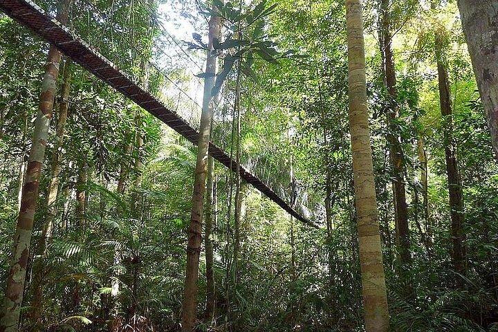 2D1N Taman Negara Explorer Tour from Kuala Lumpur