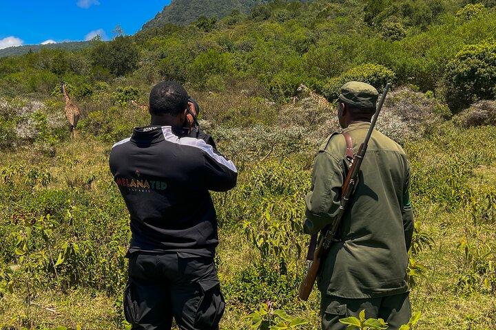 It's a Walking Safari