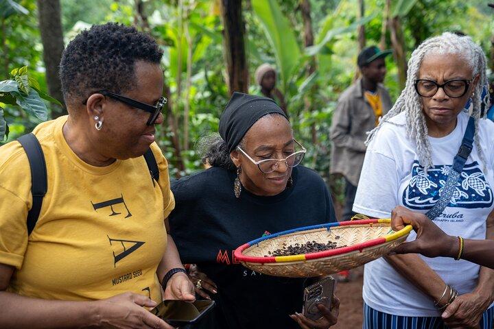 Serval Wildlife Coffee Tour with Local Chagga Tribe