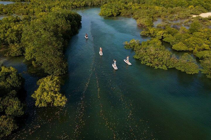 Zanzibar Memorable & Unique Guided Mangrove Tour by SUP or Kayak