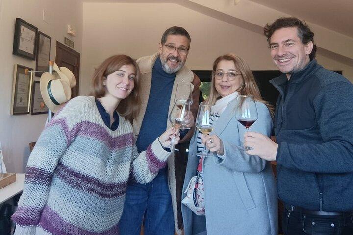 Madrid Wine Tour with Winery Visit & Wine Tasting