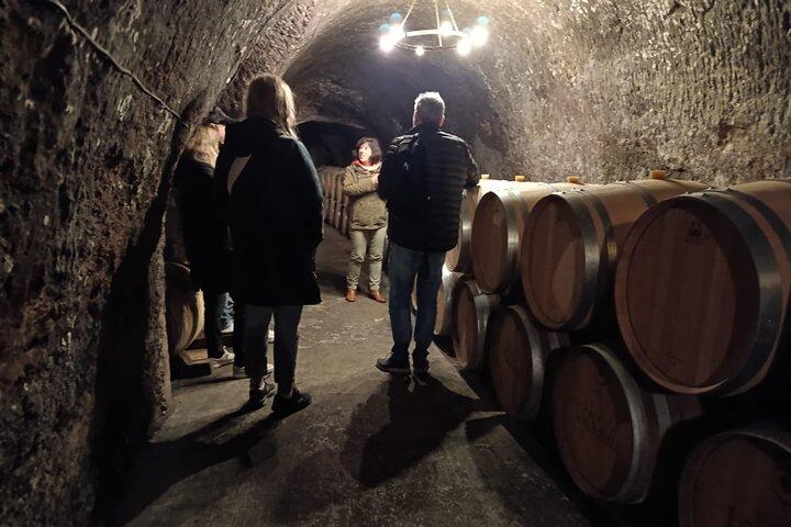 Ribera del Duero Wine Tour from Madrid with 2 Wineries & Tastings