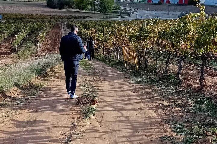 Ribera del Duero Wine Tour from Madrid with 2 Wineries & Tastings