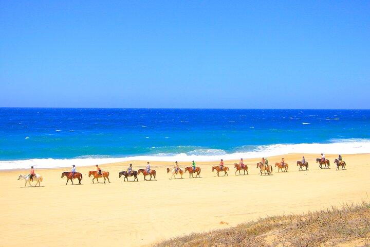 Beach UTV and Horseback Riding in Cabo