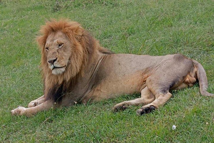 3 Days 2 Nights Masai Mara Joining Group
