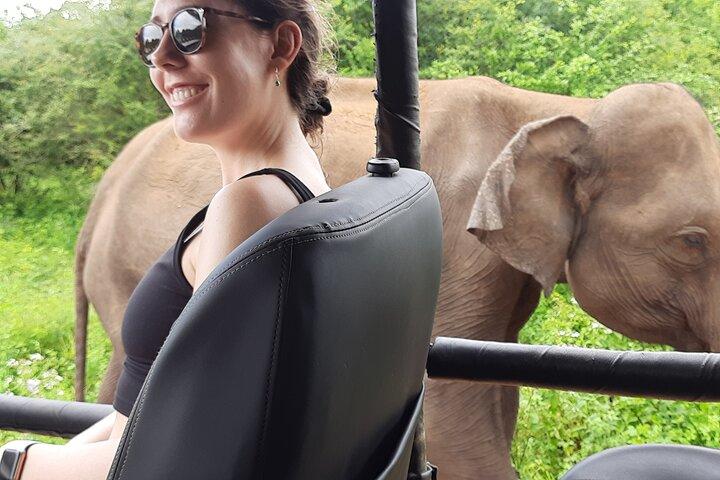 Sri Lanka Car and Driver Hire