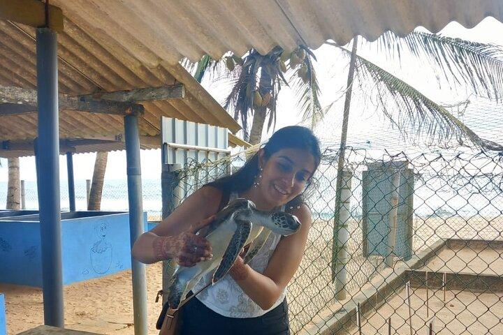 Sri Lanka Car and Driver Hire