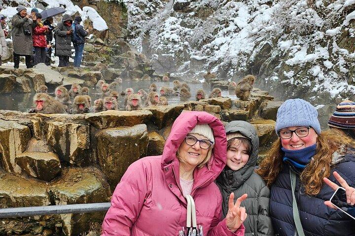 Explore Jigokudani Snow Monkey Park with a Local Guide