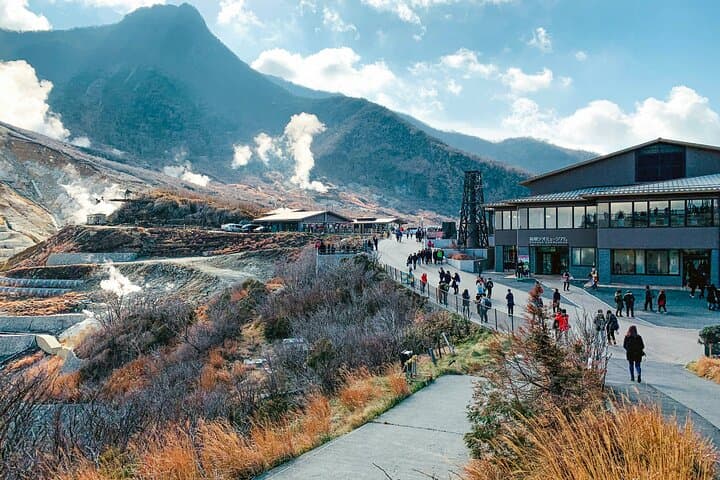 Hakone Private Day Trip with Driver From Tokyo