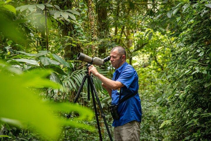 Monteverde Cloud Forest Guided Tour with Expert Naturalist