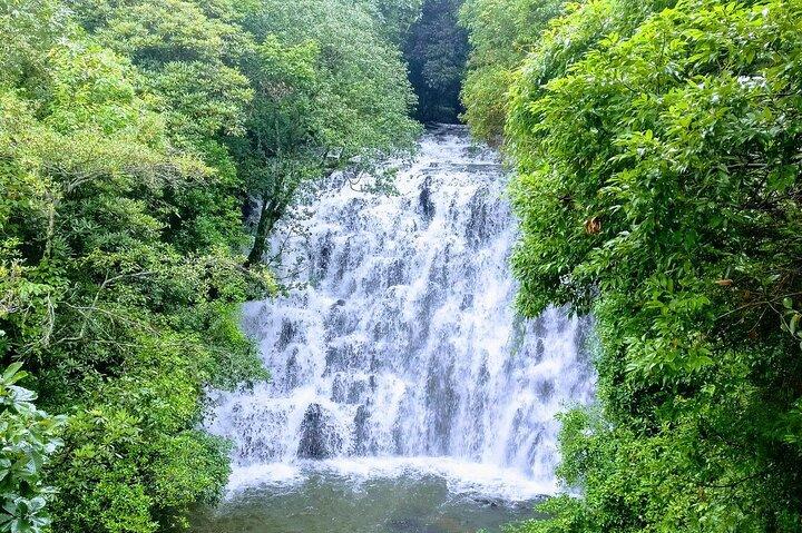 Da Lat Day Tour to Elephant Falls, Silk Factory & Countryside