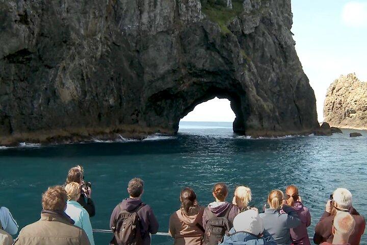 [PRIVATE] Bay of Islands Discovery From Auckland