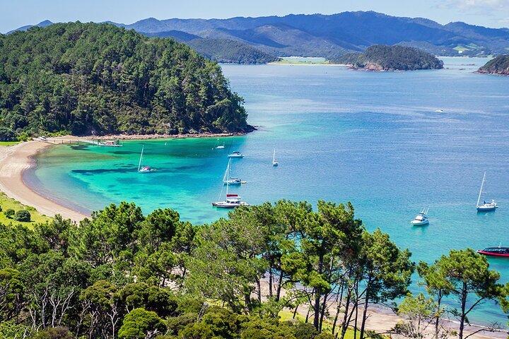 [PRIVATE] Bay of Islands Discovery From Auckland
