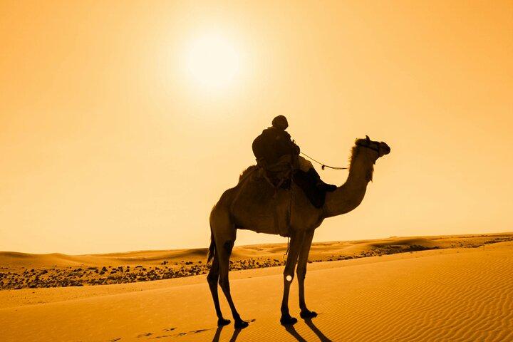 Desert Adventure with Quads, Camels, Moroccan Feast