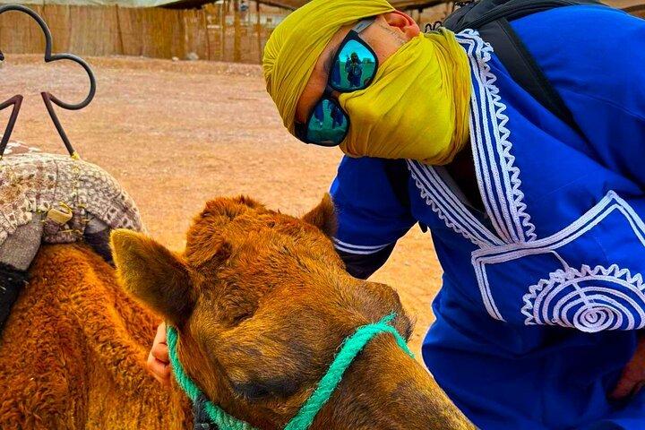 Desert Adventure with Quads, Camels, Moroccan Feast