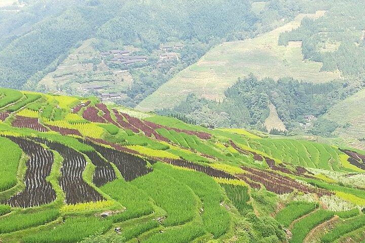 Guilin: Longji Rice Terraces Full-Day Tour with Village Walks