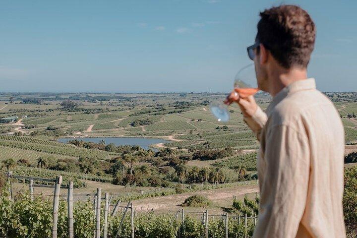 Wine Lovers - Bodega Garzon Experience