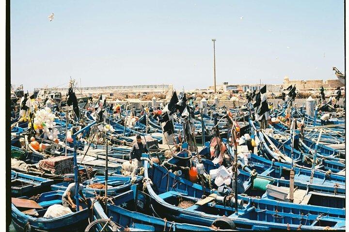 Essaouira from Marrakech History Ocean and Culture