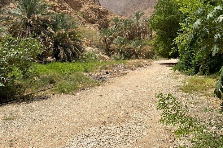 Private Full Day Tour to Wadi Shab Fins Beach & Bimmah Sinkhole