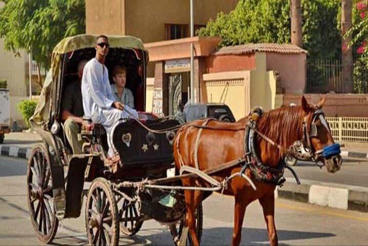 Private Tour of Luxor Horse Carriage City