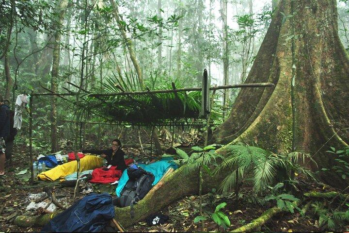 3 Days Multi Adventure in Nam Ha NPA: 2 Days Trek and 1 Day Kayak