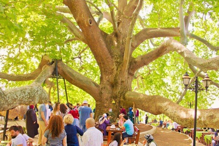 Bursa And Uludağ Tour From İstanbul with Cable Car & Lunch