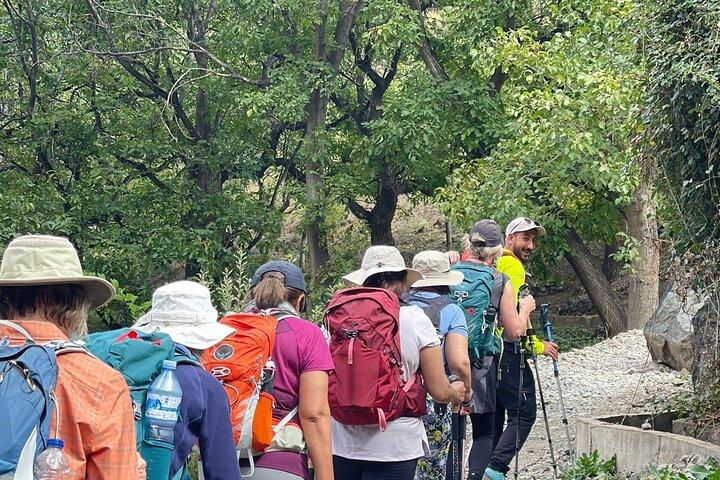Rivers & Mountains: Ourika Valley Journey