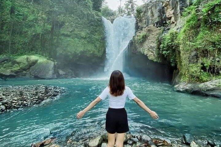 Ubud Monkey Forest, Rice Terrace, Water Temple, Waterfall & Swing