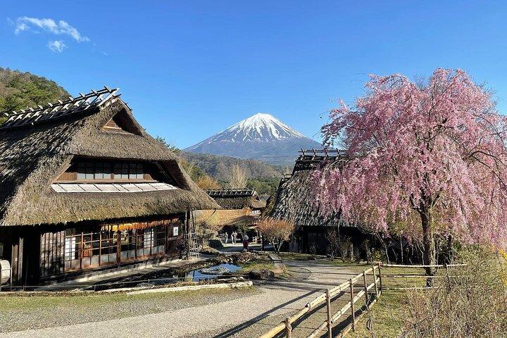 Tokyo: Mount Fuji Must-see Attractions One Day Sightseeing Tour