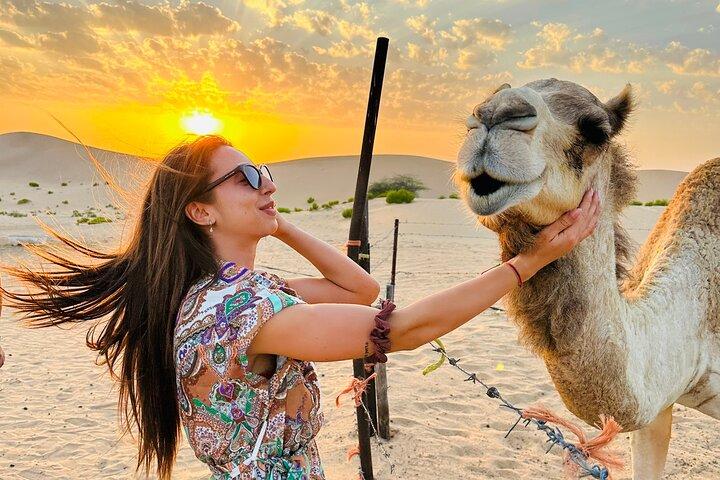 Desert Camp Experience with BBQ Dinner & Shows – No Dune Bashing