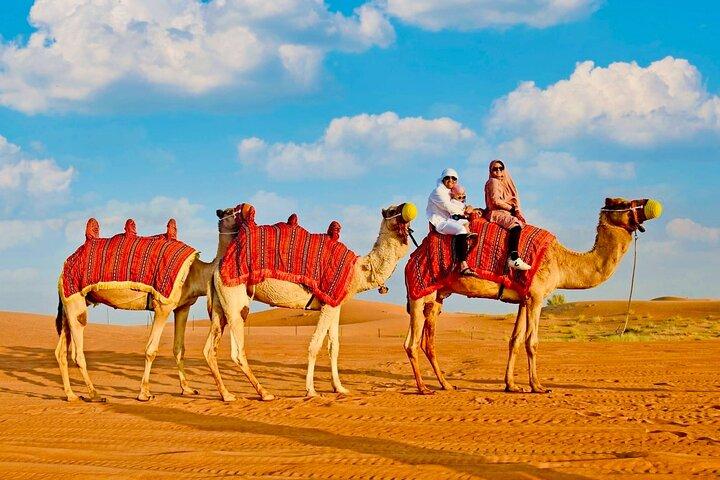 Evening: Desert Safari With Dinner