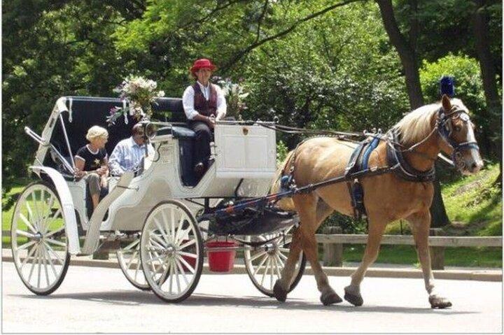 Official Private NYC CentralPark Horse Carriage Ride Since 1972