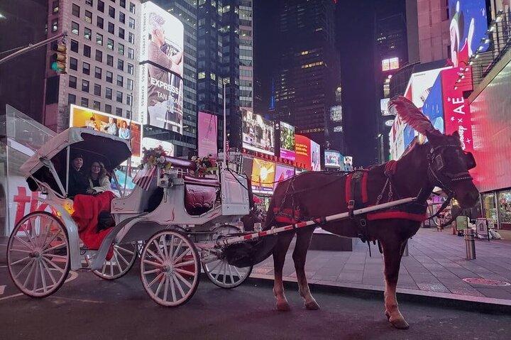 Official Private NYC CentralPark Horse Carriage Ride Since 1972