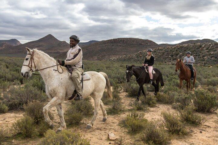 Horseback Safari and Wine Tasting Private Guided Tour