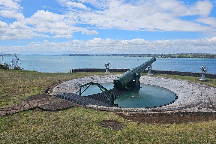 Amazing Auckland City Half Day Guided Tour