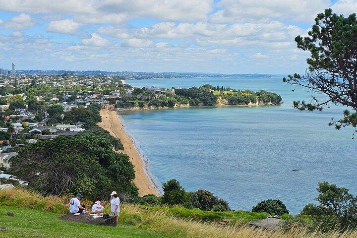 Amazing Auckland City Half Day Guided Tour