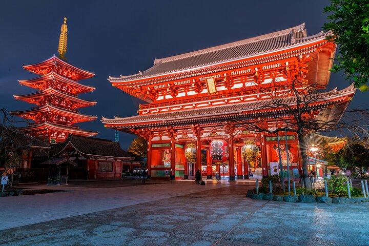 Tokyo Private Day Trip with English Speaking Driver