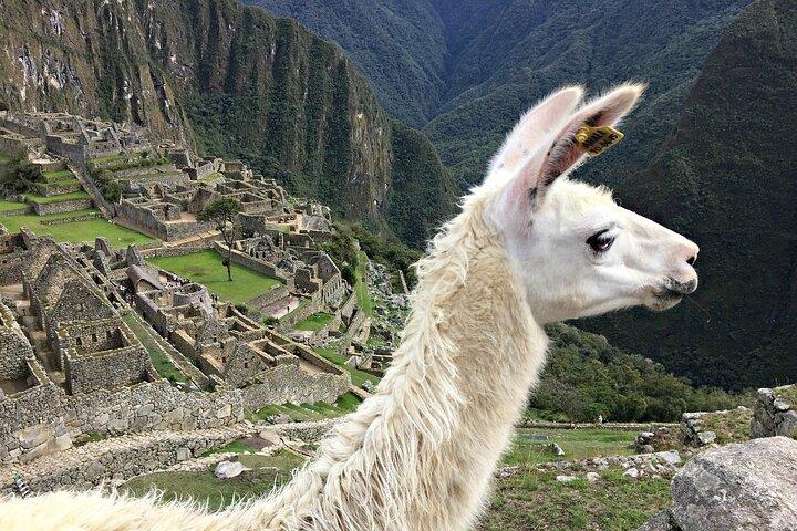 Machupicchu Full Day